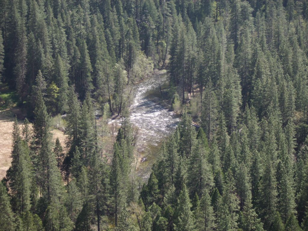 Catching sight of the Merced River through the trees below.  Daria sat out this hike and relaxed by the river near here: