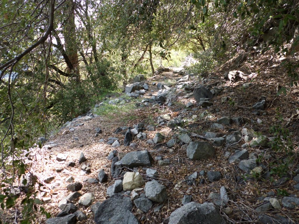 Back on some easy terrain as the trail turns sharply to the right to follow the hillside: