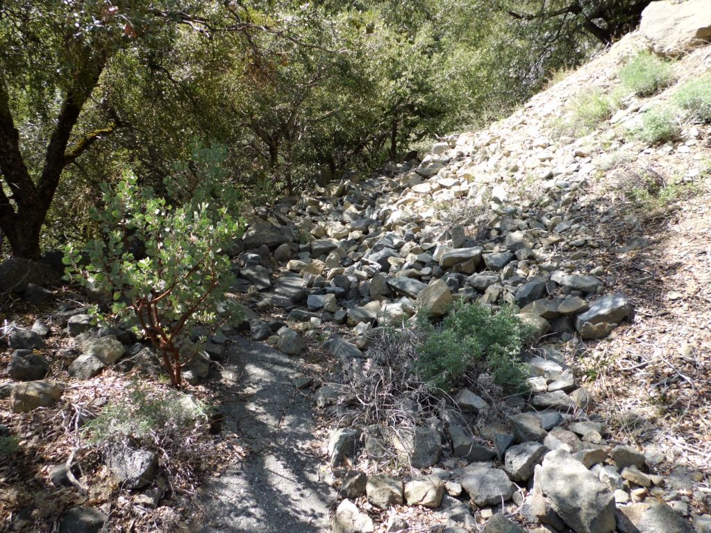 As the bend in the trail continues, a small rockslide has taken over the trail: