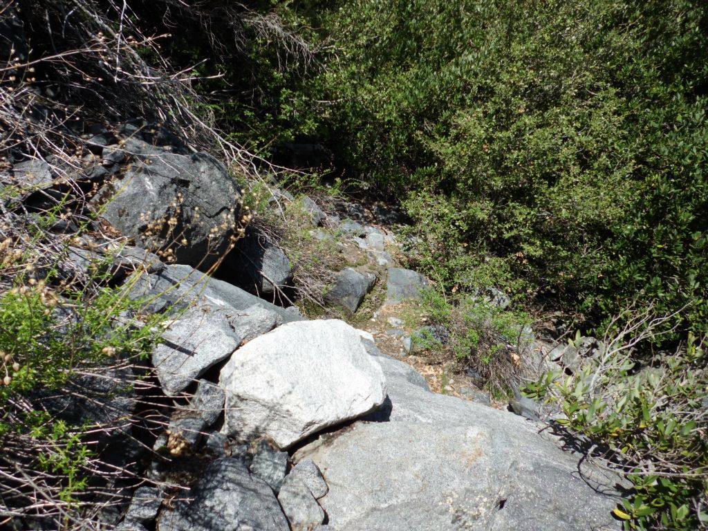 This is all that you can see -- rocks and trees: