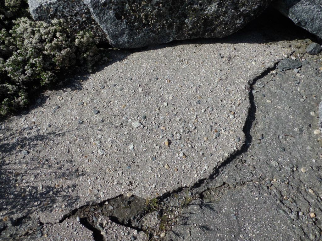 A section of the Old Big Oak Flat Road is still visible between some boulders: