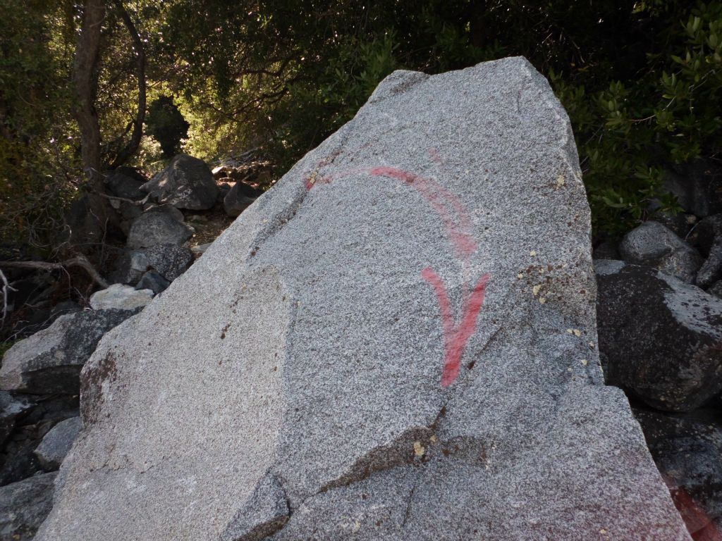 At tree line, another double red arrow marks the spot of upper switchback: