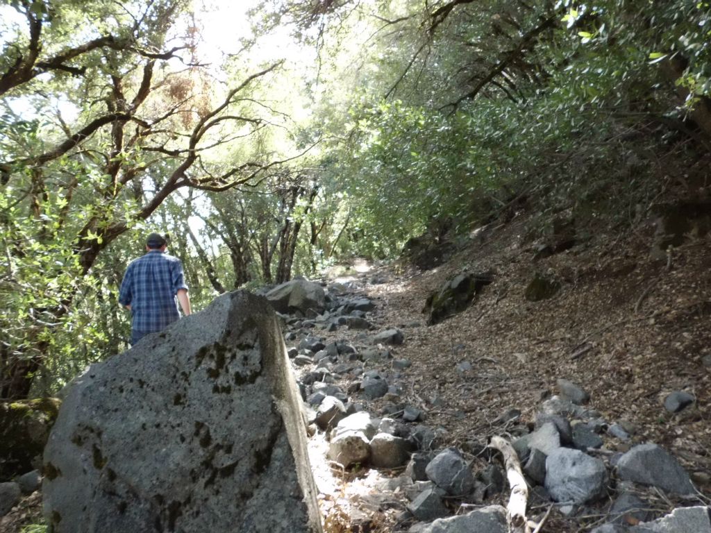 A clear trail is once again easy to follow as upper switchback enters the forest: