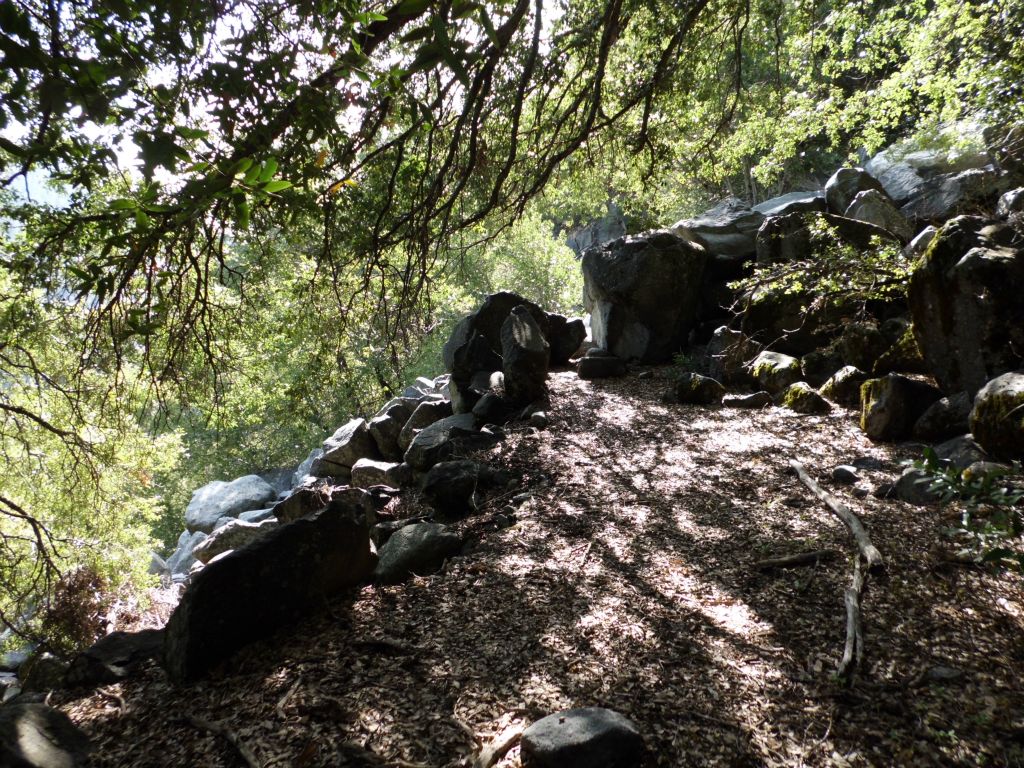 Keeping shady and cool on a hot day.  The forest sections were very nice: