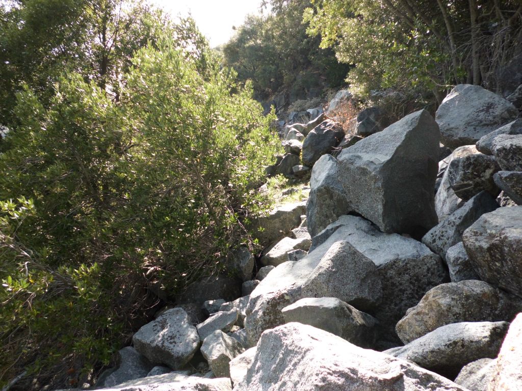 The next two pictures show the first of two major washouts past the switchbacks: