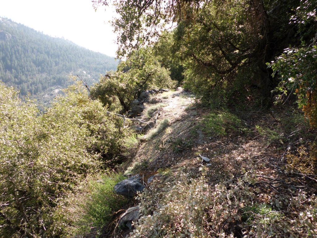 Past the first washout, the trail resumes for a short distance: