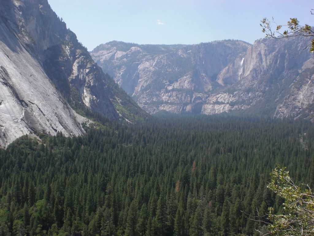 Up above the blanket of trees which covers Yosemite Valley: