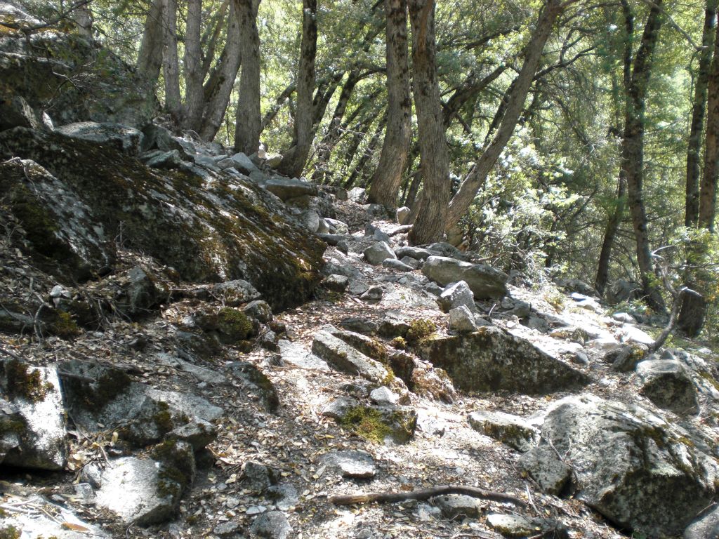 Finally coming across something that looks like it could be a trail.  This was over two hours after we started.  As it turns out, we were looking too far to the north.  If we had found the trail right away, we could have been to this spot in twenty minutes: