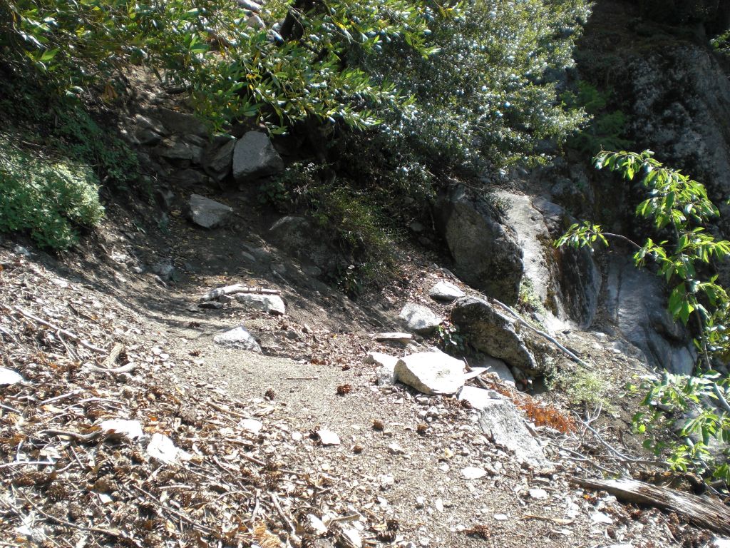 The trail passes through an open area as it remains clearly visible: