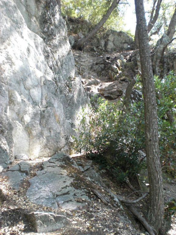 Passing by the base of a rock slab in the middle of the forest: