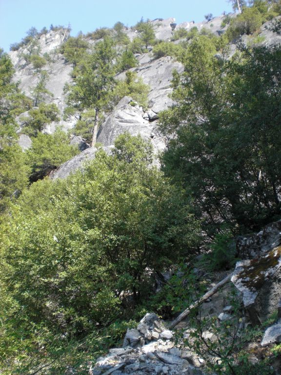 The view opens up to reveal a ridge high above which cannot be accessed from this route.  Up even higher and out of view is the landmark known as the Diving Board: