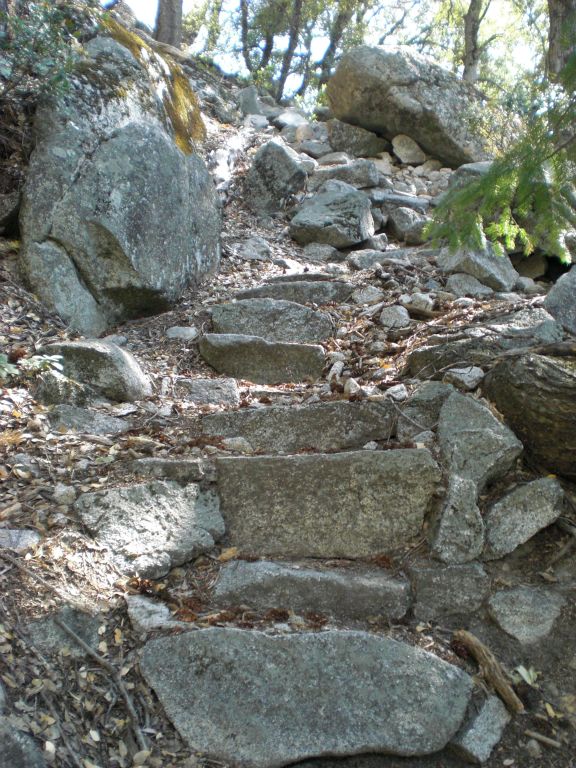 Climbing more steep steps along the trail: