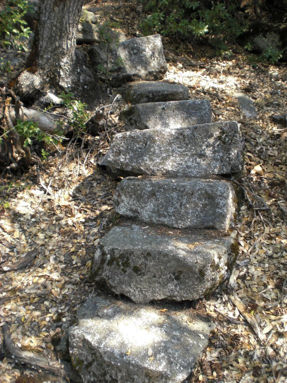 Two more pictures of stone steps which help gain elevation quickly: