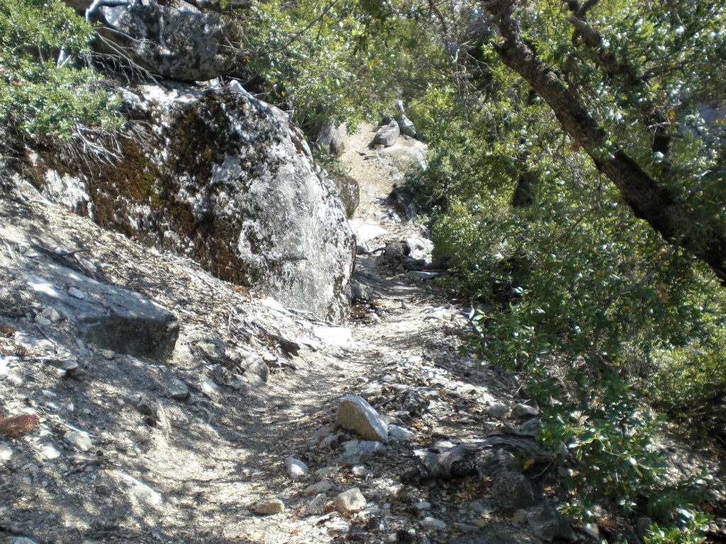 After wrapping around the rock slab, the trail continues a short distance through some brush: