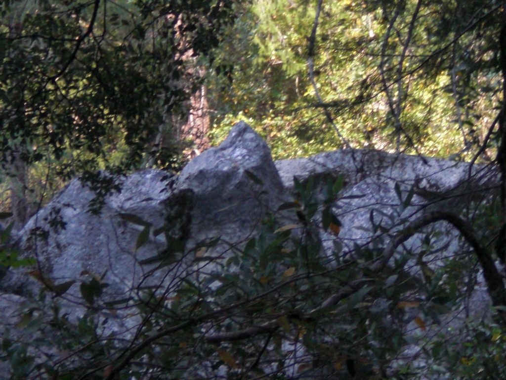 We realized later that the key to finding the old Sierra Point Trail is to hike directly toward this small triangular rock.  The first remnants of the old trail can be found just beyond: