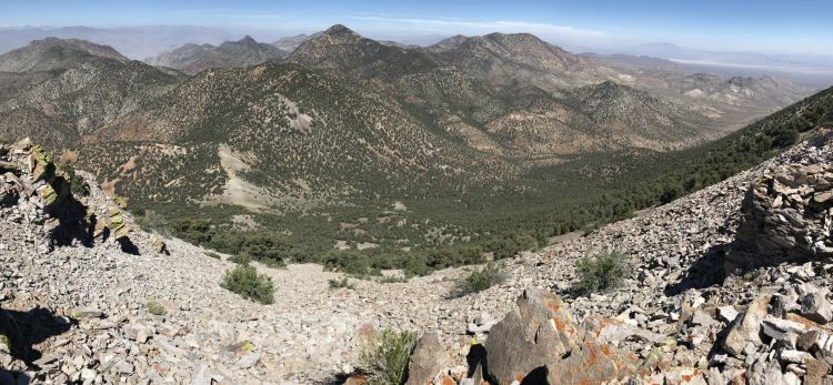 Scree field panoramic