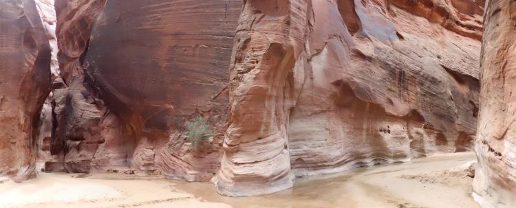 Paria Canyon and Buckskin Gulch Confluence